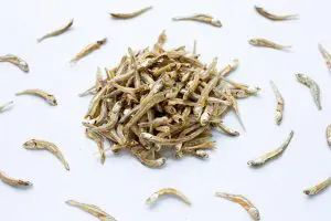 teri nasi dimasak apa