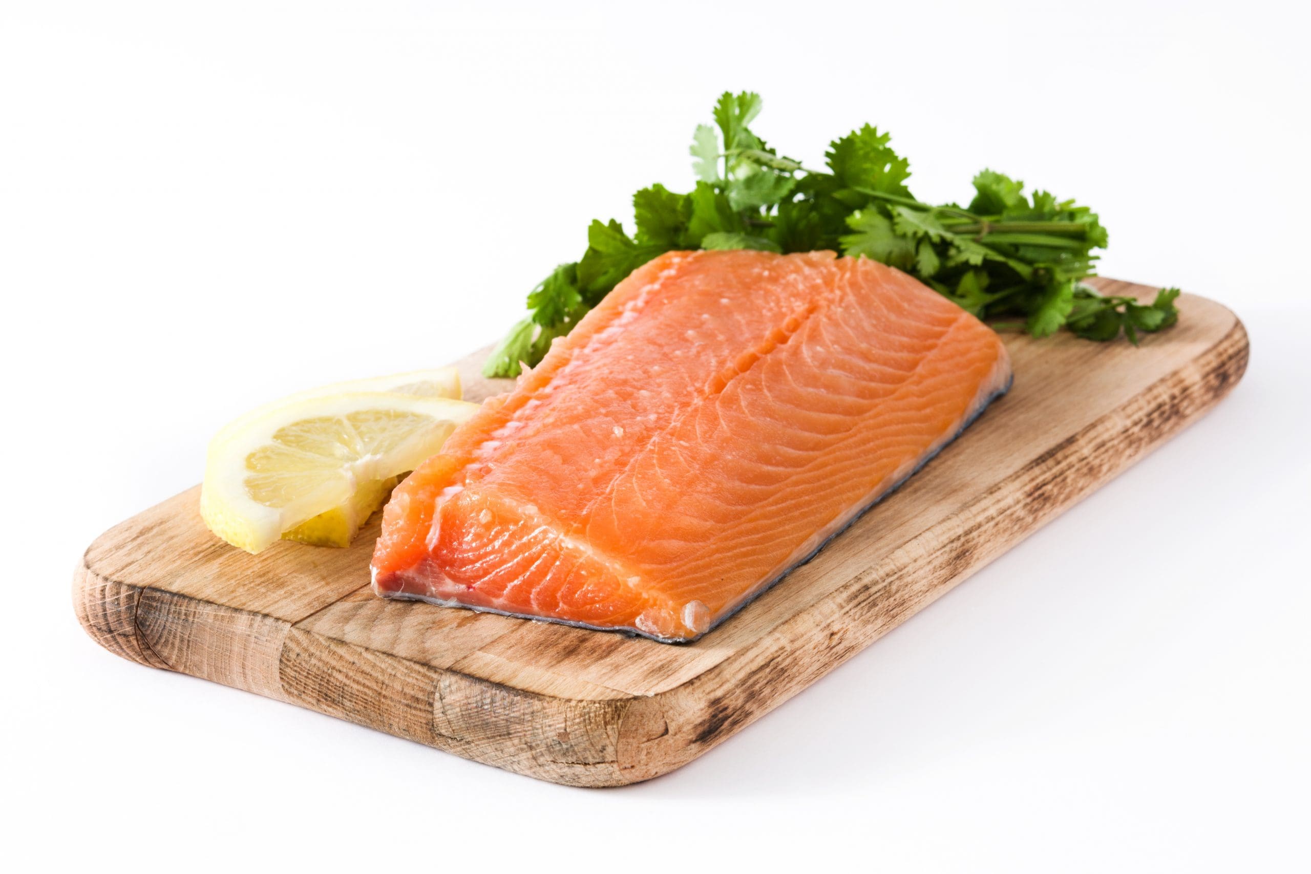 Jenis Ikan Salmon