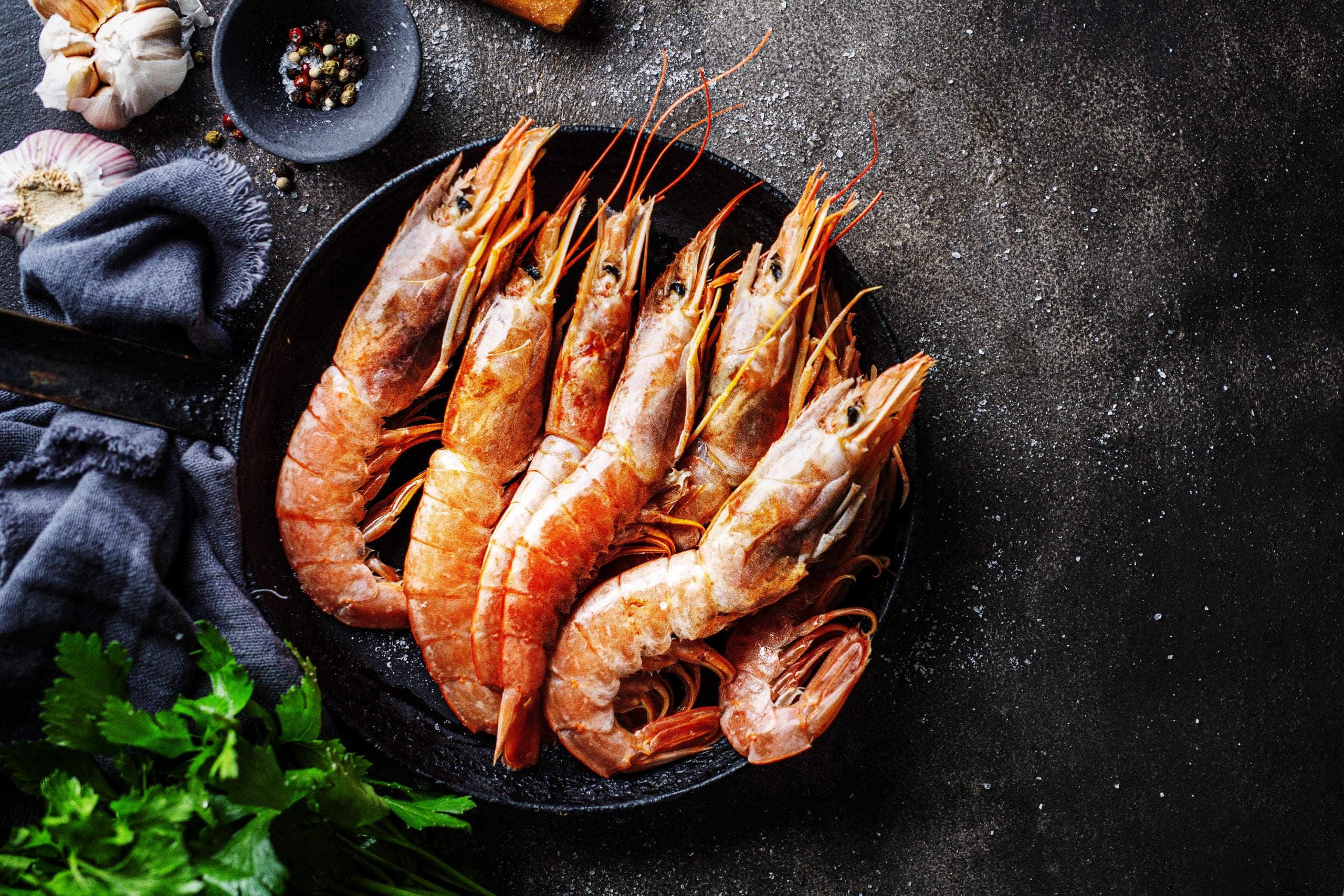 kandungan gizi udang